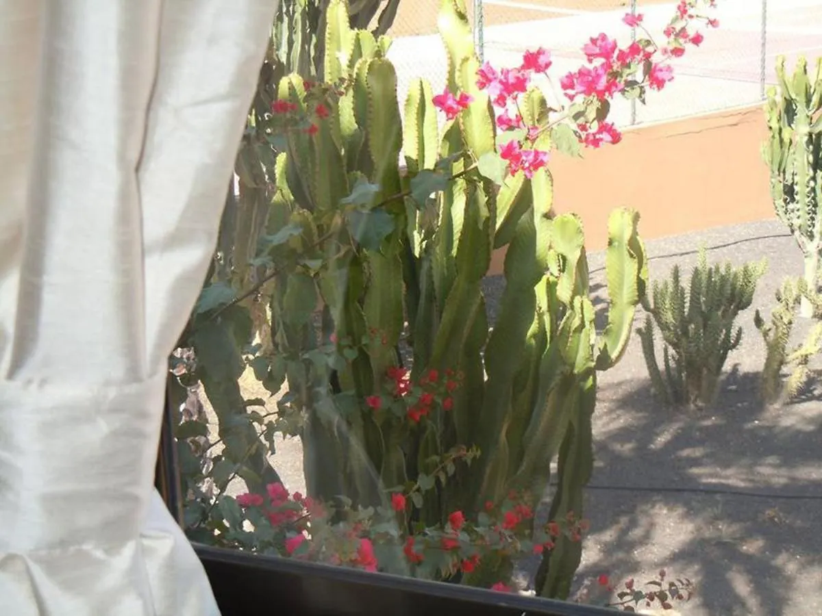 Holiday home Family Apartment 1 Bedroom With Pool View 2 - Oasis Duna Resort Corralejo